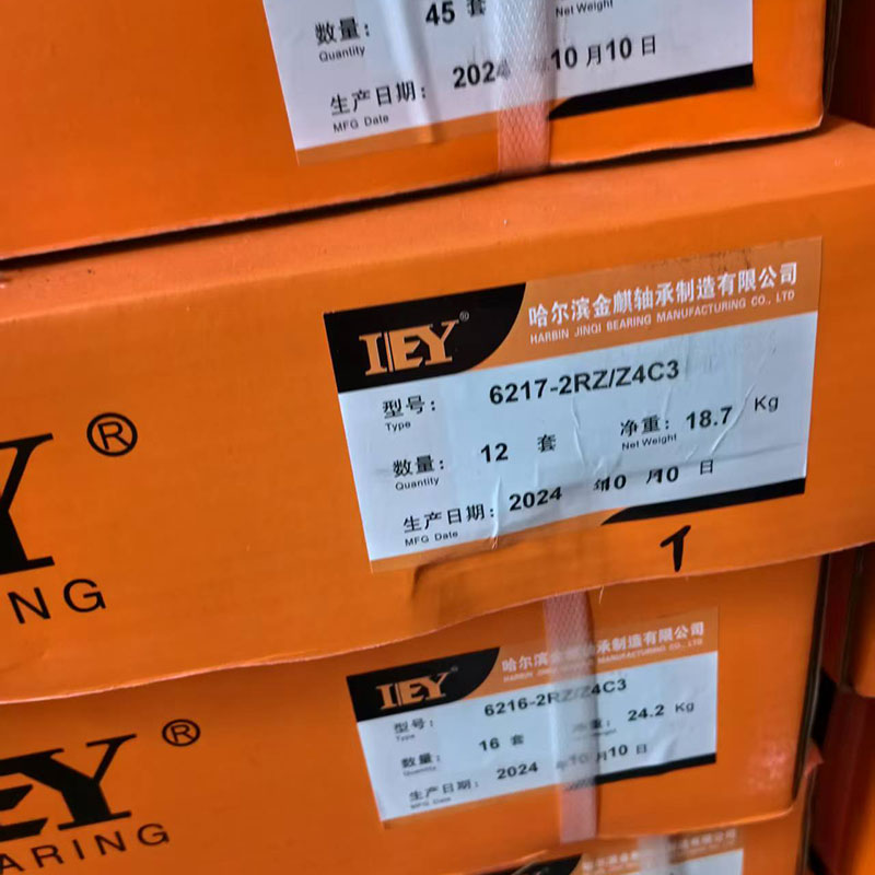 沈阳IEY电机轴承
